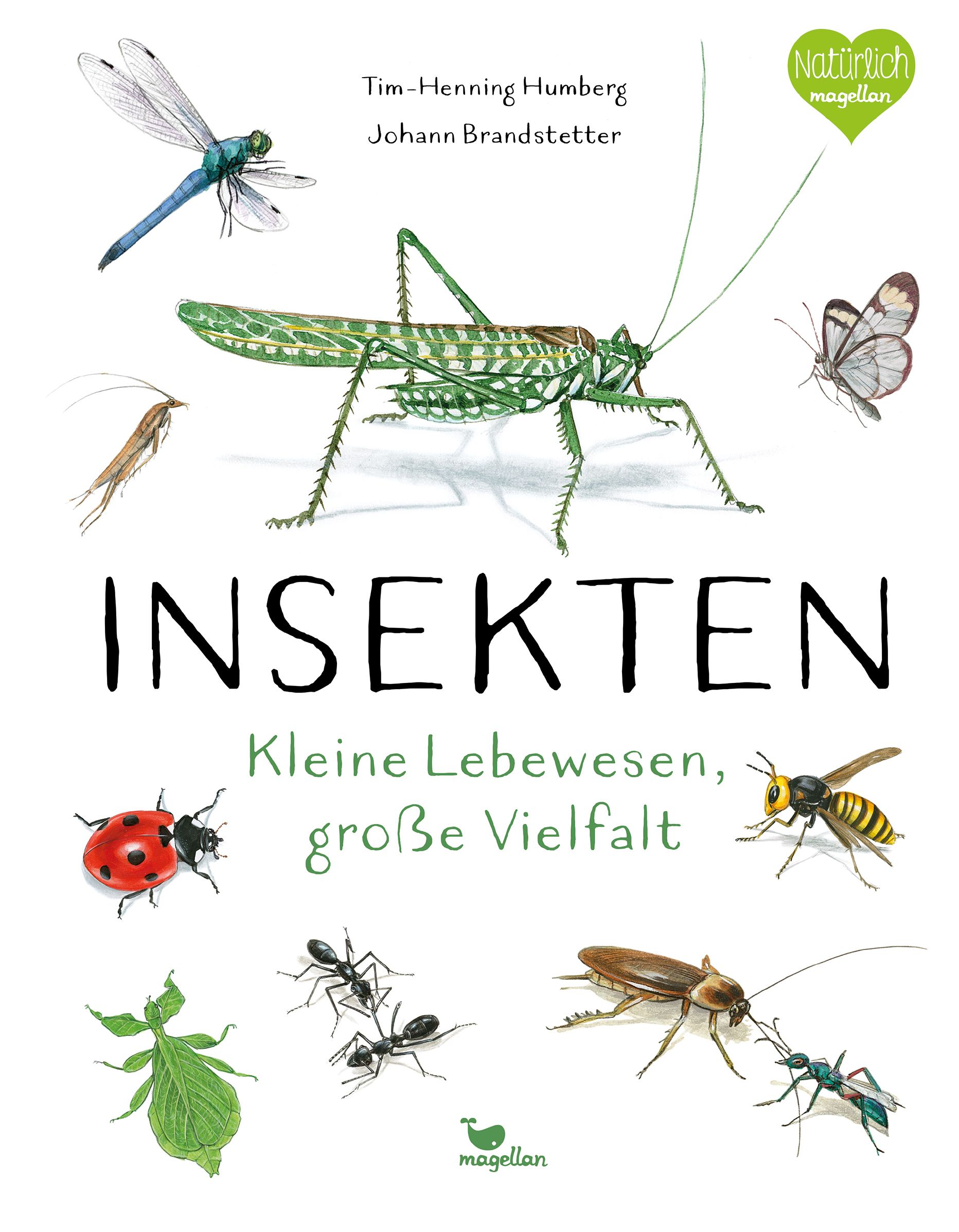 Insekten - Kleine Lebewesen, große Vielfalt