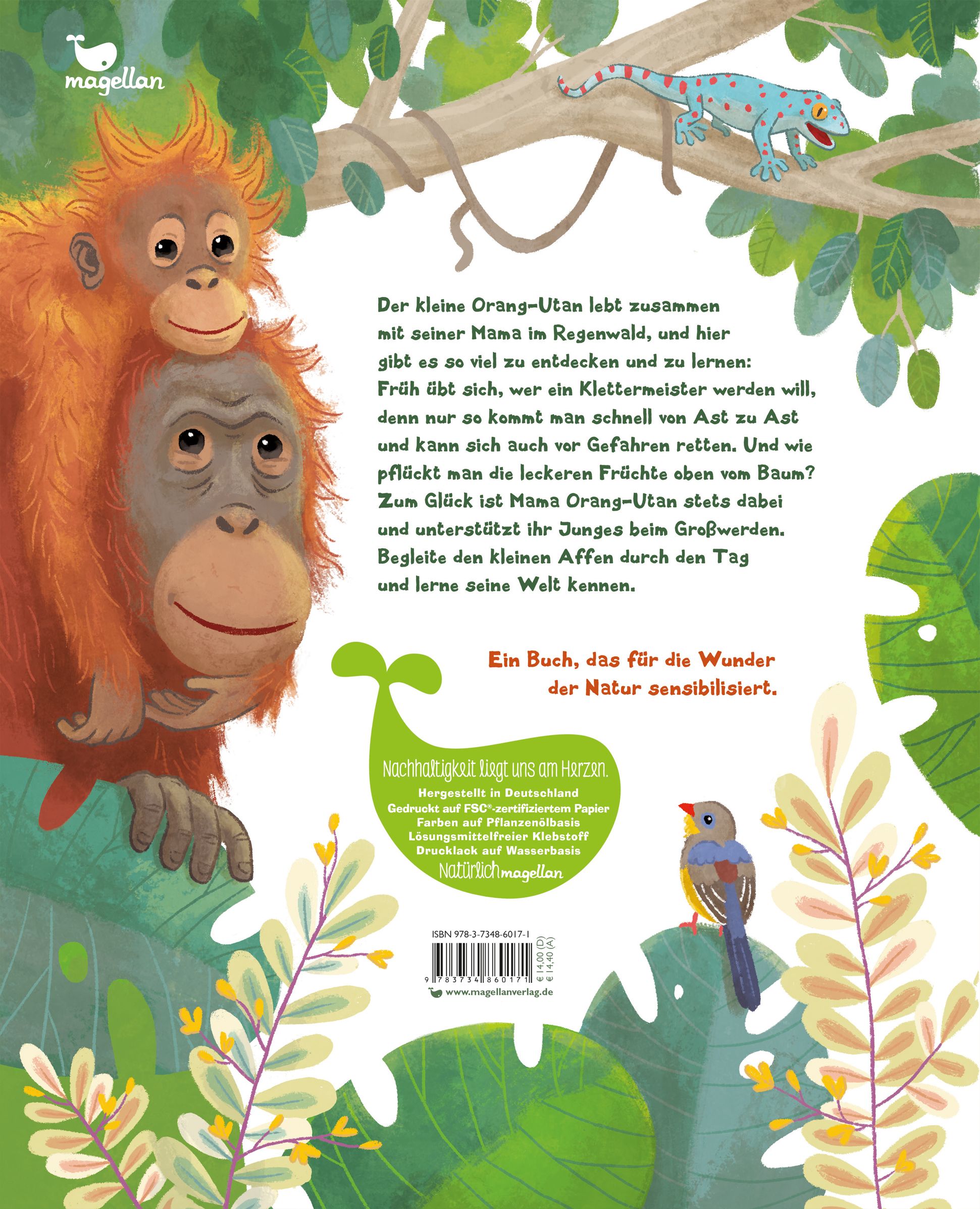 Der kleine Orang-Utan - Zu Hause im Regenwald