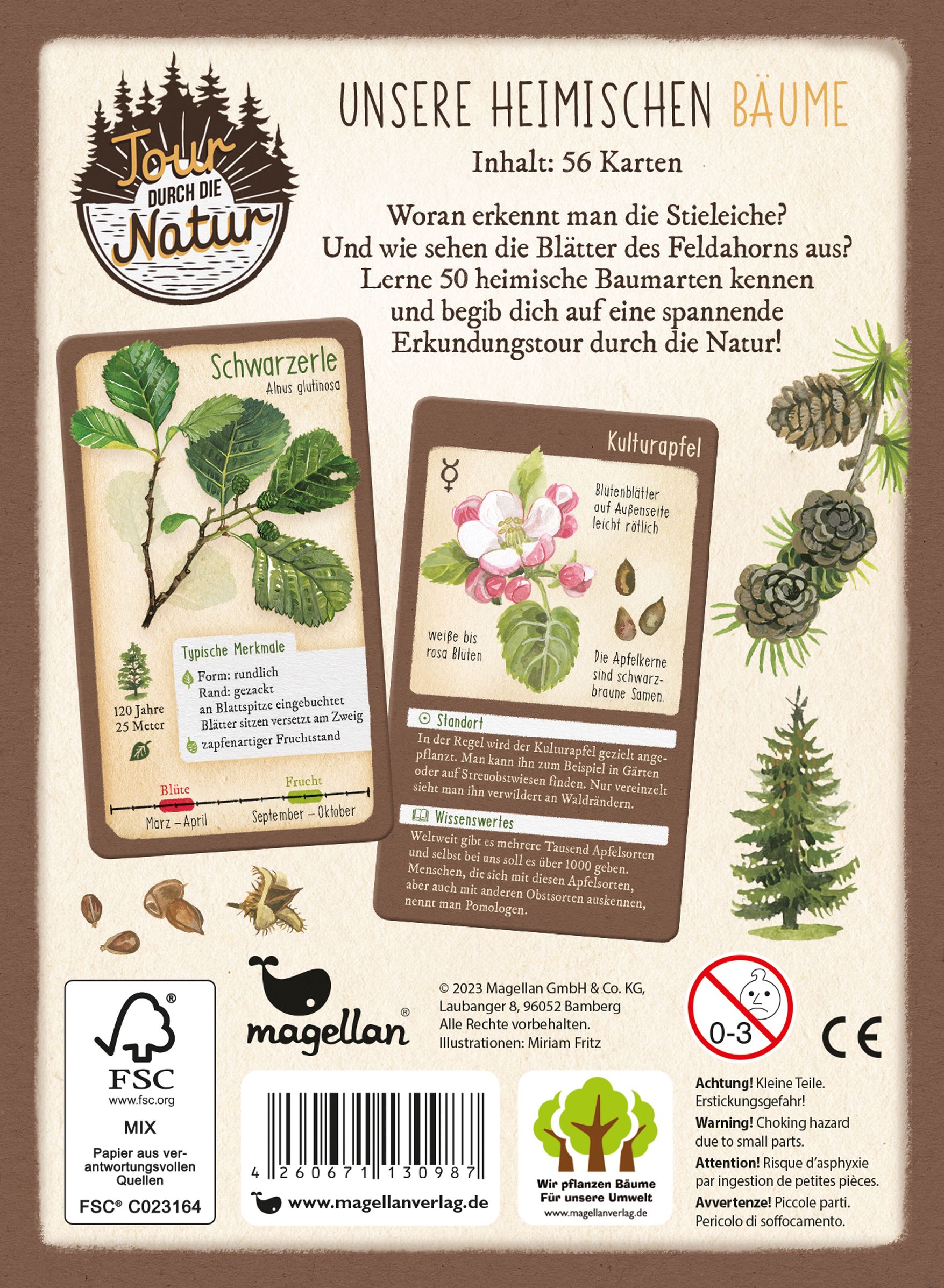 Tour durch die Natur - 50 unserer heimischen Bäume