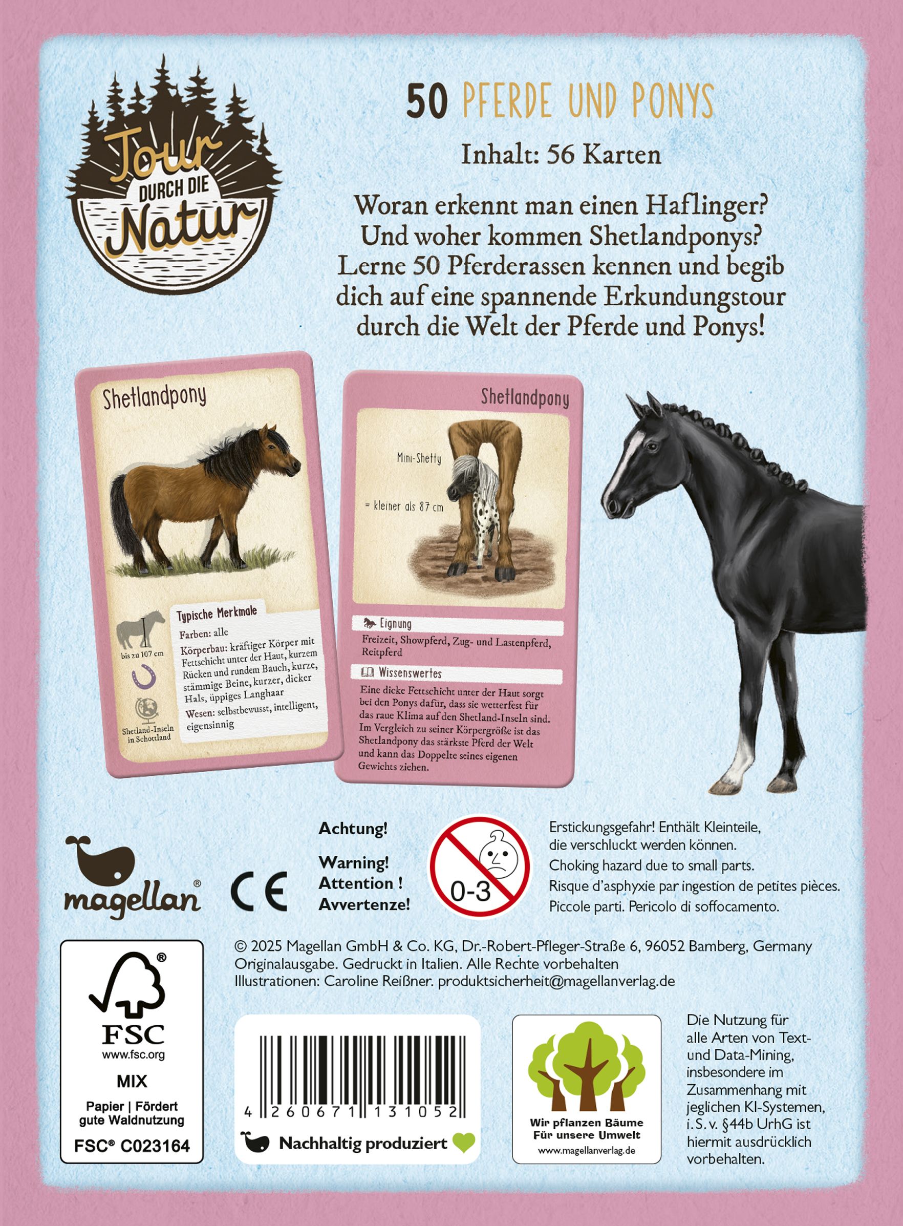 Tour durch die Natur - 50 Pferde und Ponys