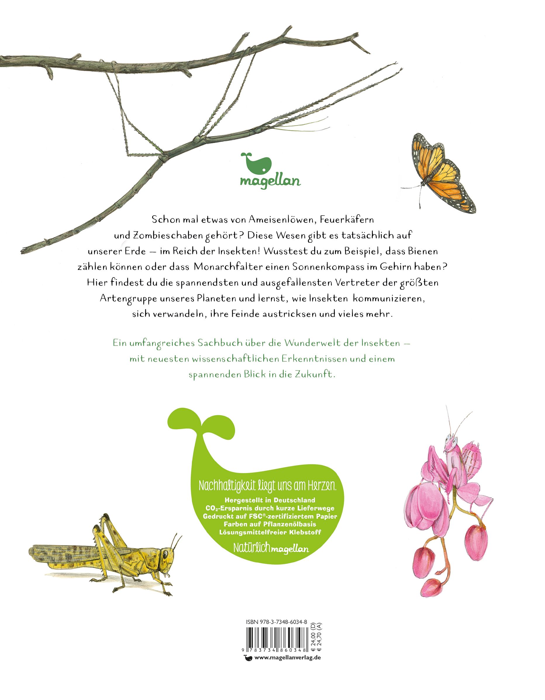 Insekten - Kleine Lebewesen, große Vielfalt