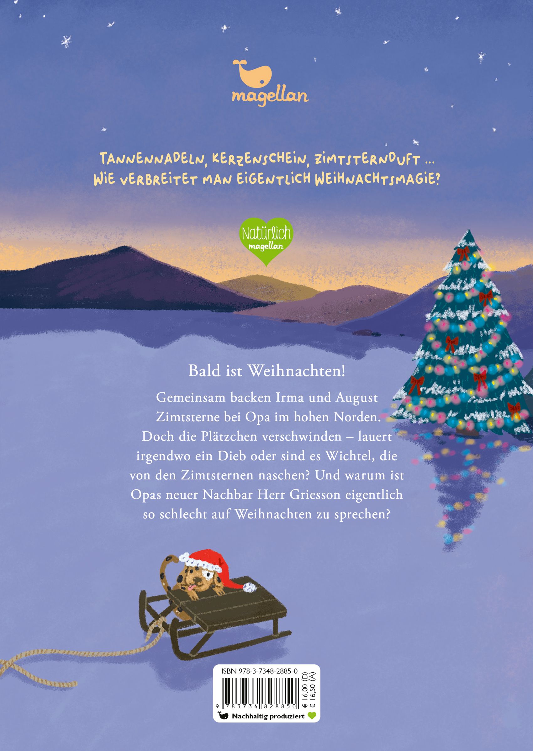 Zimtsternewinter