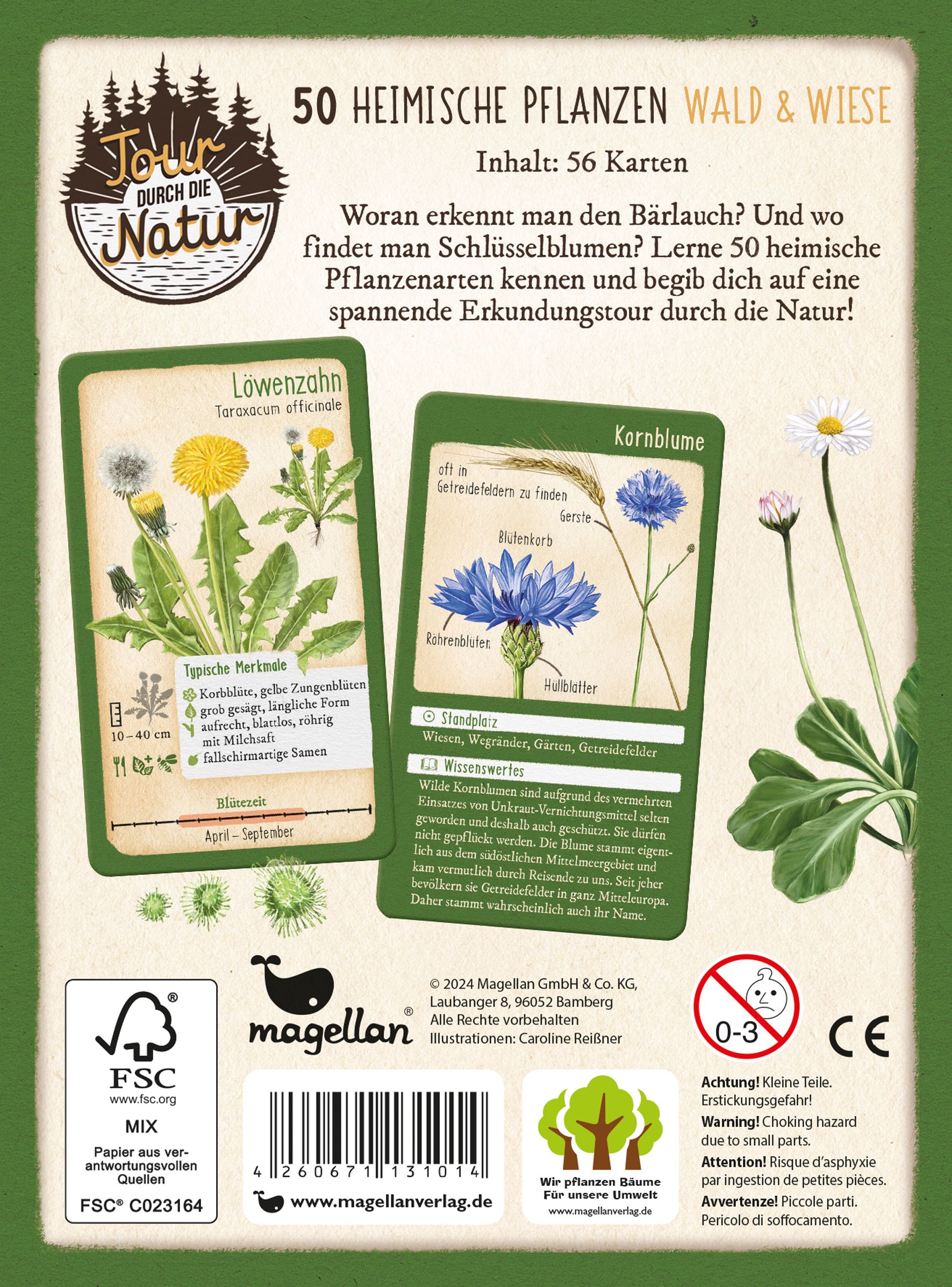 Tour durch die Natur - 50 heimische Pflanzen - Wald & Wiese