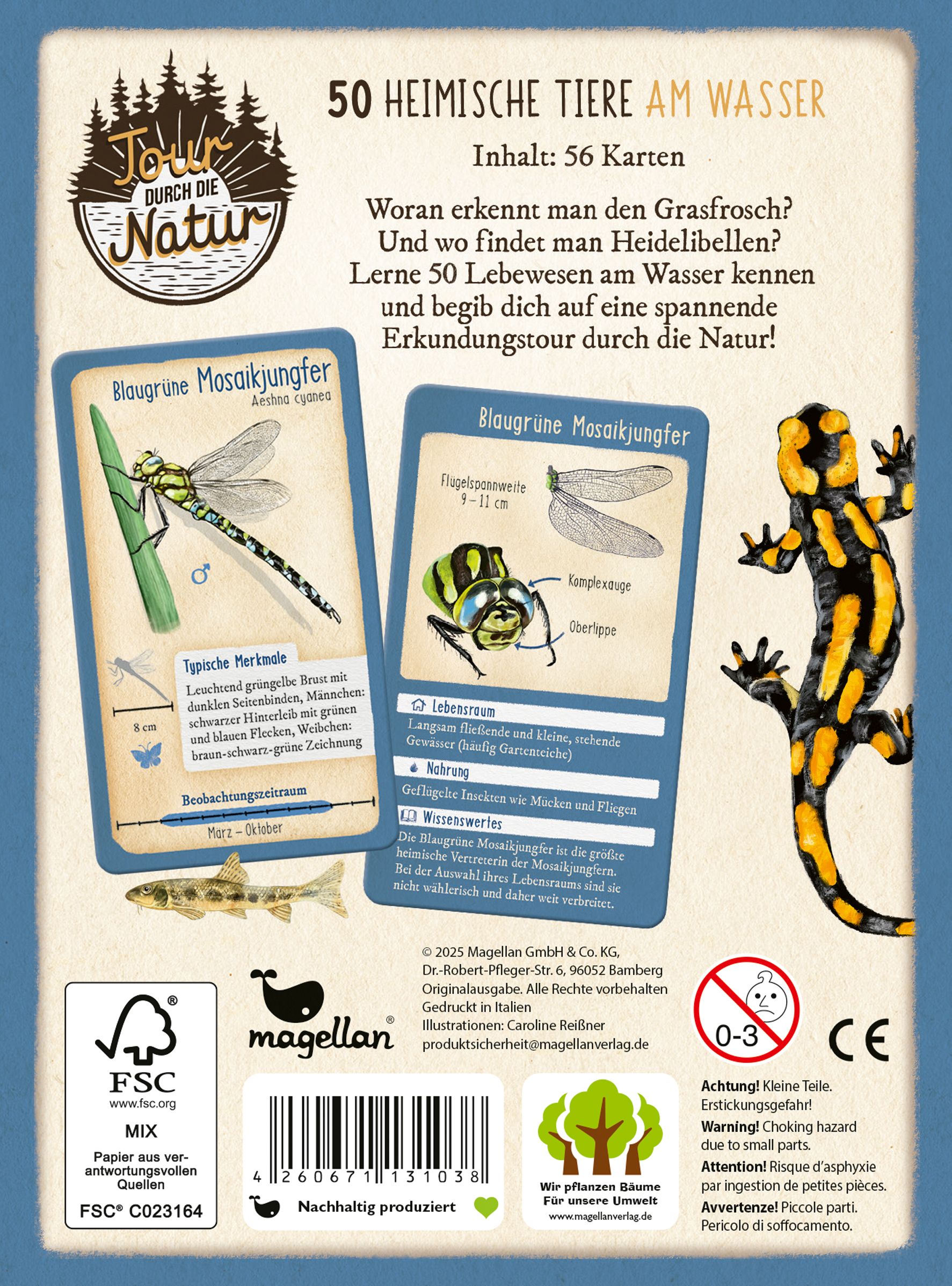 Tour durch die Natur - 50 heimische Tiere am Wasser