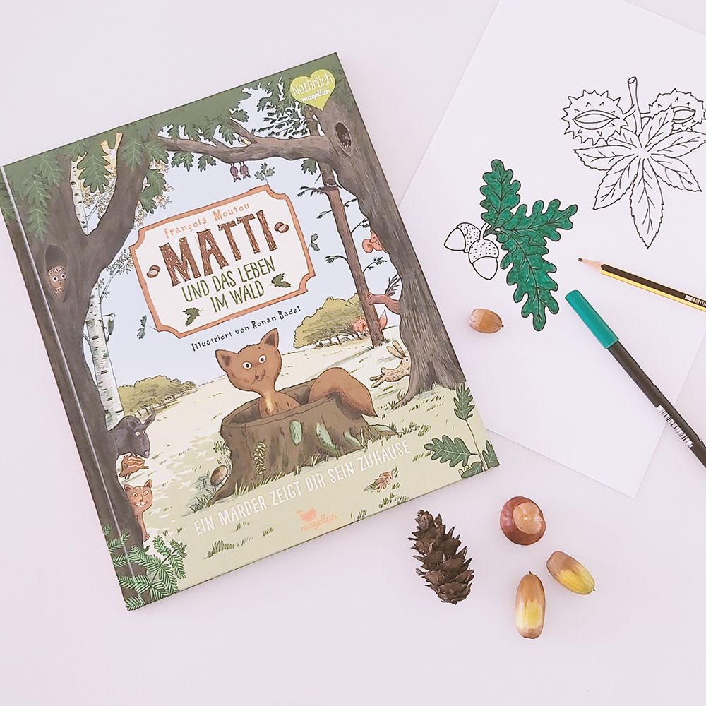 Matti und das Leben im Wald - Ein Marder zeigt dir sein Zuhause